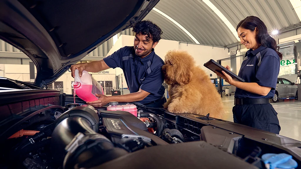Hyundai servicio posventa